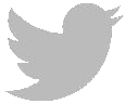 Twitter Playinum